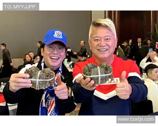 香港足球明星队活动费用分析与预算规划探讨